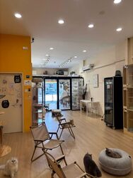 Geylang Road (D14), Shop House #544868571